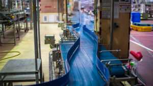 resistencias tipo banda